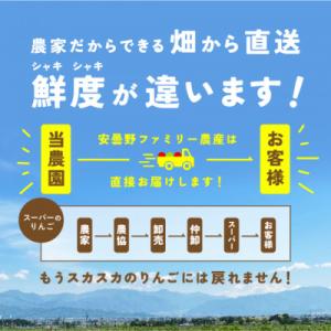 ふるさと納税 安曇野市 信州安曇野産 ピンクレ...の詳細画像3
