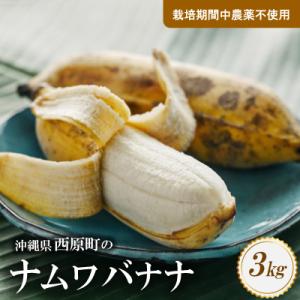 西原町の栽培期間中農薬不使用のナムワバナナ3kg