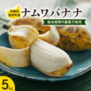 西原町の栽培期間中農薬不使用のナムワバナナ5kg