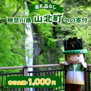 ふるさと納税 山北町 【返礼品なし】神奈川県 山...の商品画像