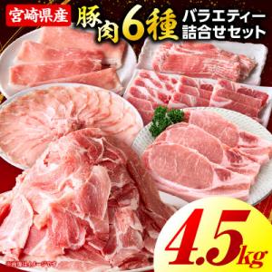 豚肉バラエティー詰合せセット 4.5kg(国富町)