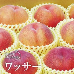 信州うちやま農園の「ワッサー」約2kg(6～8玉入り)　桃+ネクタリンの掛け合わせ