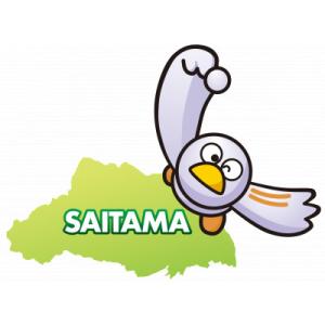 ふるさと納税 埼玉県 【返礼品なし】埼玉県文化振興基金