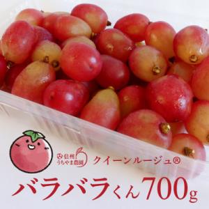 【訳あり】クイーンルージュ　バラバラくん　700g