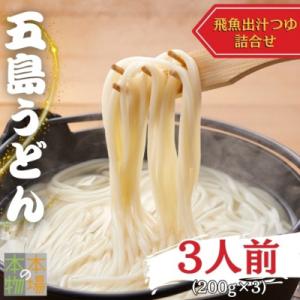 ふるさと納税 新上五島町 【日本三大うどん】五島手延うどんセット NT-24