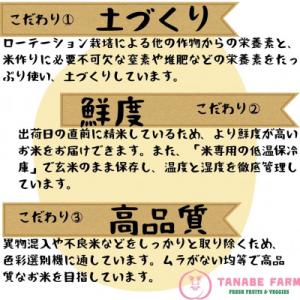 ふるさと納税 勝央町 【令和7年産】 無洗米(...の詳細画像3