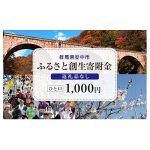ふるさと納税 安中市 【返礼品なし】群馬県安中市 ふるさと創生寄附金 一口:1000円