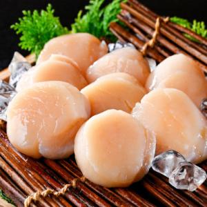 個包装 ホタテ貝柱500g ジャンボ 6～8玉 贈答にもおススメな北海道産野付産帆立