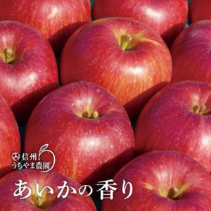 高貴な芳香、爽やかな甘さ『あいかの香り』約3kg(約7～9個)信州りんご