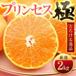 ふるさと納税 八幡浜市 「新品種!!」【甘平×まどんな】愛果48号(紅プリンセスと同品種)【極】2k...