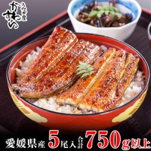 愛媛県松山産　大サイズの国産うなぎ蒲焼150g5本セット(750g～845g)