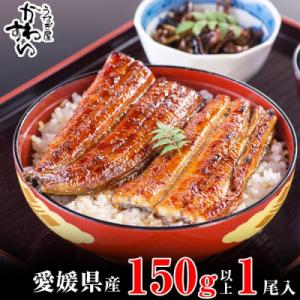 愛媛県松山産　大サイズの国産うなぎ蒲焼150g1本(150g～169g)