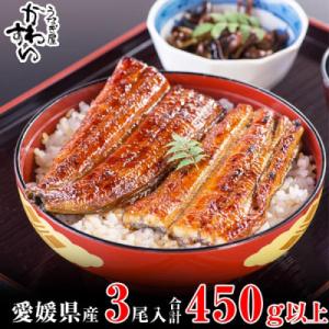 愛媛県松山産　大サイズの国産うなぎ3本(450g~507g)