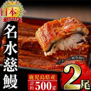 ふるさと納税 志布志市 鹿児島県産うなぎ蒲焼 名...の商品画像