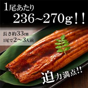 ふるさと納税 志布志市 鹿児島県産うなぎ蒲焼 ...の詳細画像1
