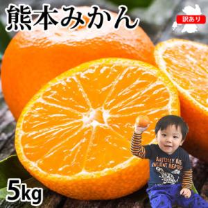 訳あり 熊本みかん 計5kg【2026年10月上旬から2027年3月下旬発送予定】(熊本市)