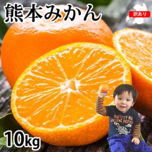 訳あり 熊本みかん 計10kg【2026年10月上旬から2027年3月下旬発送予定】(熊本市)