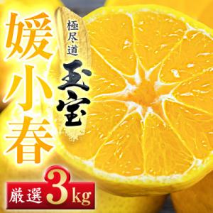ふるさと納税 八幡浜市 【愛媛名産】玉宝媛小春(ひめこはる)　3kg【E64-86】
