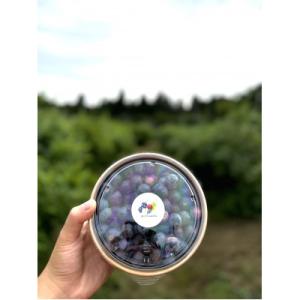 完熟、濃厚生ブルーベリー　500g