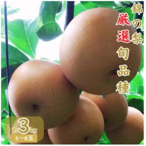 2026年発送　錦の梨 約3kg 5玉～8玉(幸水・豊水・あきづき・新興)【古里農園】