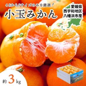 小さいみかんを厳選!愛媛みかん小玉3kg【訳あり】【A25-218】