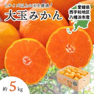 大玉サイズのみ厳選!八幡浜産 愛媛みかん5kg【訳あり】【A25-219】