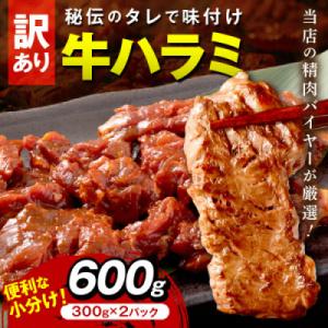【訳あり】牛ハラミ秘伝のタレ込み 味付け肉 600g(300g×2パック)