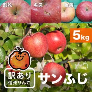 ふるさと納税 長野県 味が一番!信州りんご★サンふじ★5kg 訳あり品