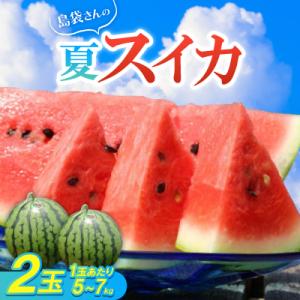 ふるさと納税 国頭村 【先行受付・2026年8月中旬から順次発送】島袋さんの夏スイカ大玉 2玉(1玉5.0〜7.0kg)