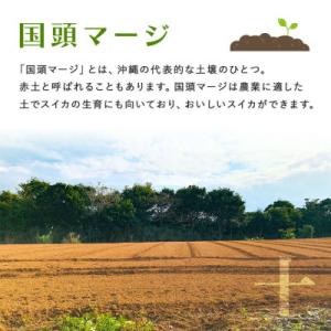 ふるさと納税 国頭村 【先行受付・2026年8...の詳細画像1
