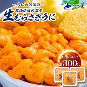 令和8年発送 先行受付【うにの名産地稚内市】最北端の生むらさきうに(100g×3パック)