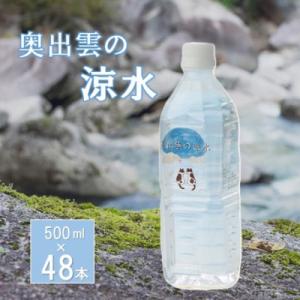 ふるさと納税 奥出雲町 奥出雲の涼水　500ml×48本
