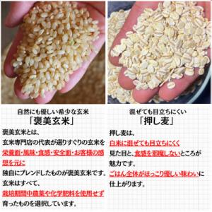 ふるさと納税 豊能町 【白米に混ぜて簡単!】国...の詳細画像1