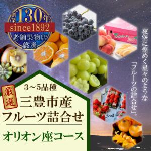 三豊市産の厳選フルーツ詰合せ♪【オリオン座コース】1回コース