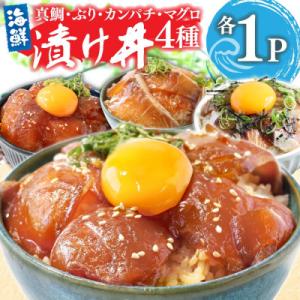 高知の海鮮漬け丼4種(真鯛・ブリ・カンパチ・マグロ)1食80g×各1パック【KYF168】