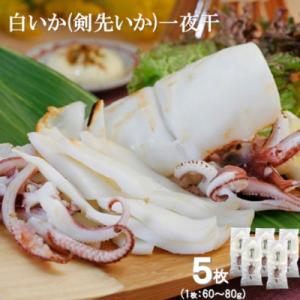 ふるさと納税 大田市 刺身より美味しい!白いか(剣先イカ)一夜干　5枚(1枚:60〜80g)　S48