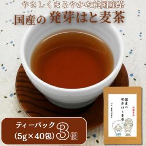 ふるさと納税 佐賀市 国産 発芽はと麦茶(3個セット)
