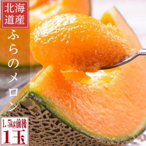 2026年先行予約 糖度15度前後 富良野メロン 2Lサイズ (1.5kg前後) 1玉入