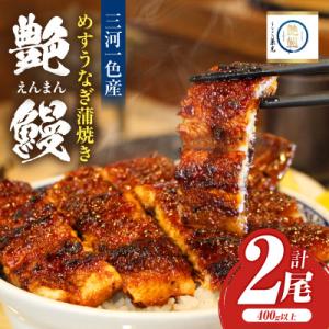 愛知県三河一色産  めすうなぎ「艶鰻」うなぎ蒲焼き (計2尾400g以上)・U048