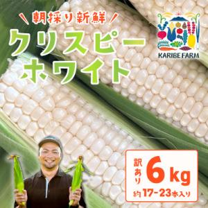 【訳あり約6kg】下妻産朝採りとうもろこし(クリスピーホワイト)