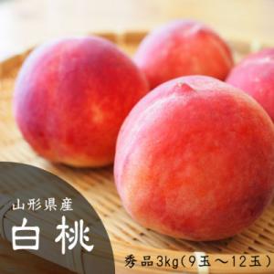 ふるさと納税 山形県 [令和8年産先行受付]山形県産 白桃秀品(品種おまかせ) 約3kg 硬め・あまり柔らかくならない桃
