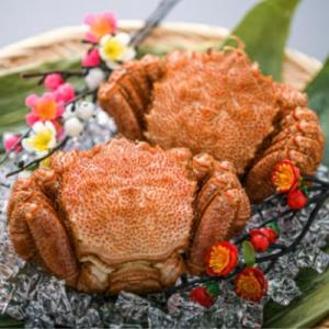 【訳あり】北海道産冷凍ボイル毛ガニ(約250g前後～約300g前後×2尾)