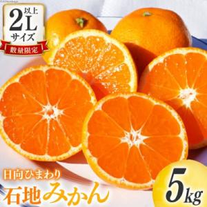 【先行予約】 みかん 2Lサイズ以上 石地みかん 約5kg