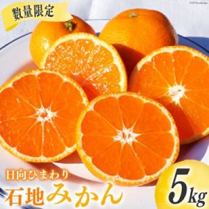 【期間限定発送】 みかん 訳あり 日向ひまわり 石地みかん 2S ～ L サイズ 5kg