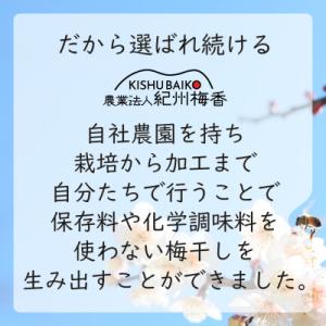 ふるさと納税 九度山町 訳あり 無添加 紀州梅...の詳細画像2