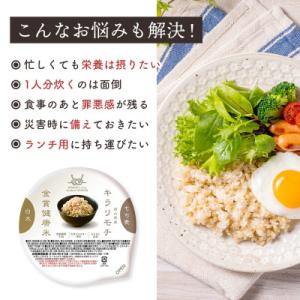 ふるさと納税 松原市 金賞健康米 ゆめぴりか使...の詳細画像2