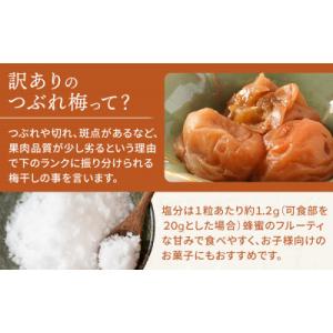 ふるさと納税 和歌山市 無添加 訳ありつぶれ ...の詳細画像2