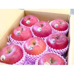 味が一番!信州りんご★サンふじ★3kg大～中玉!【特秀品・贈答品】