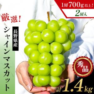 厳選!1房700g以上!長野県産 シャインマスカット2房 計1.4kg 秀品