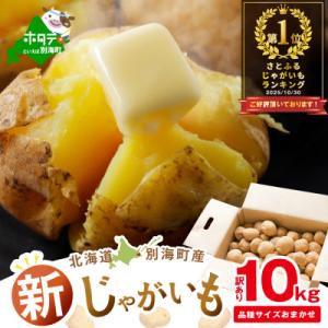 【先行受付】新じゃがいも10kg 北海道 訳あり おまかせ1種 きたあかり 男爵 など (野菜